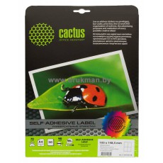 Этикетки/наклейки Cactus универсальные A4, 105x148.5 мм, 4 шт/л., 50 л. (С-30105148)